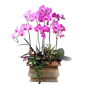 Waiting for You Coming